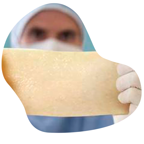 matriz colageno pene Penis enlargement