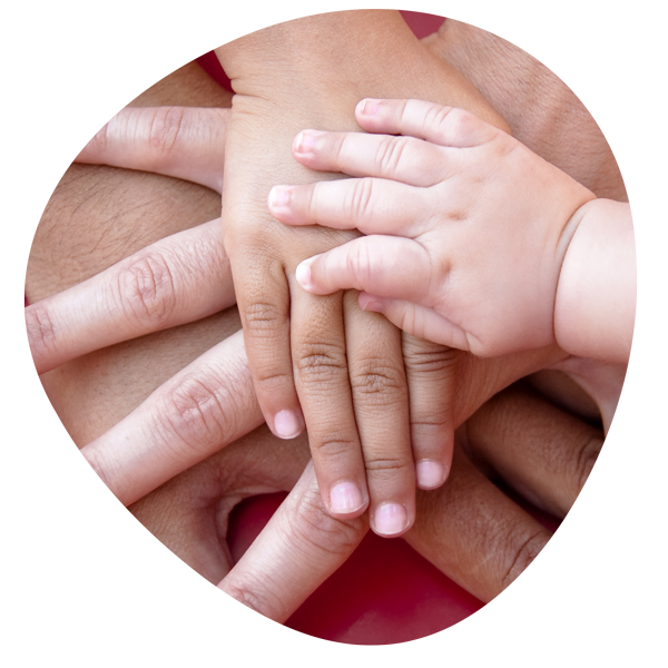 vasovasostomia 1 Vasovasostomy