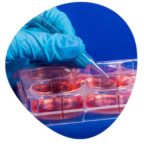 foto2 550x550 1 ppofoch3fb5iugobfbhee7rd9nc2za5g2syuw98c5k Erectile dysfunction