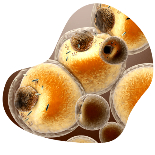 plaquetas ppnen2ahb9zmmhccv005mnxndyx0r53zfo0kuq3q14 Penis enlargement